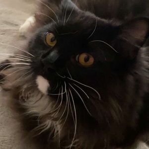 Meet your Posher, Dana